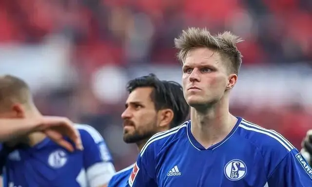 霍芬海姆主场终结连败，力克沙尔克04豪取德甲胜利