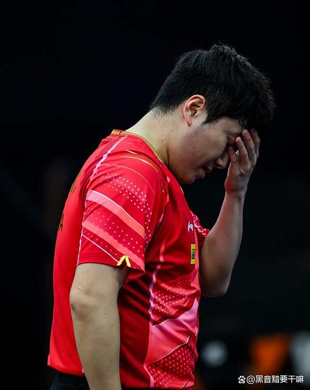 中国队鏖战瑞典队，王皓高光表现的简单介绍